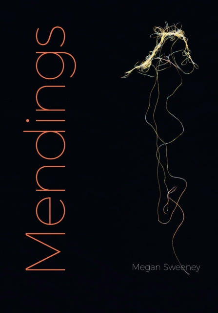 Book cover of: Mendings. By: Megan Sweeney