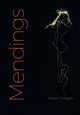 Book cover of: Mendings. By: Megan Sweeney