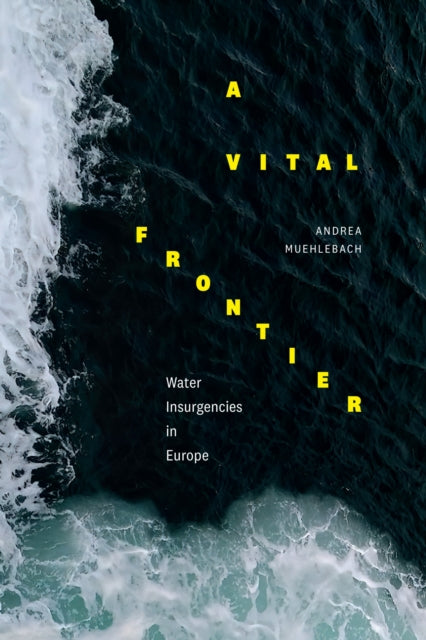 Book cover of: Vital Frontier. By: Andrea Muehlebach