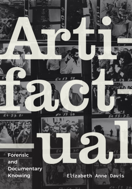 Book cover of: Artifactual. By: Elizabeth Anne Davis