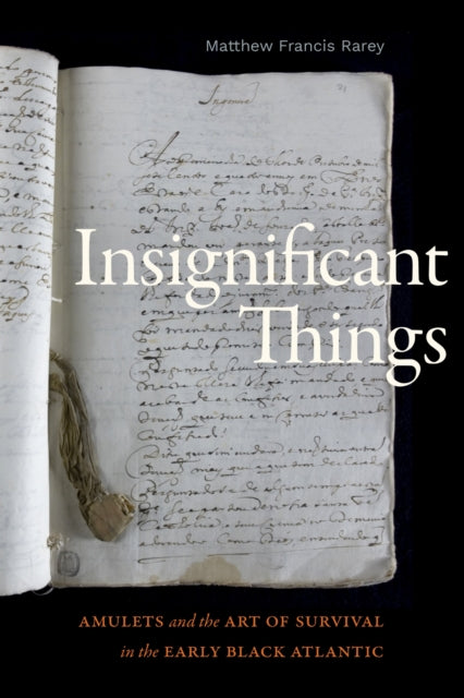 Book cover of: Insignificant Things. By: Matthew Francis Rarey