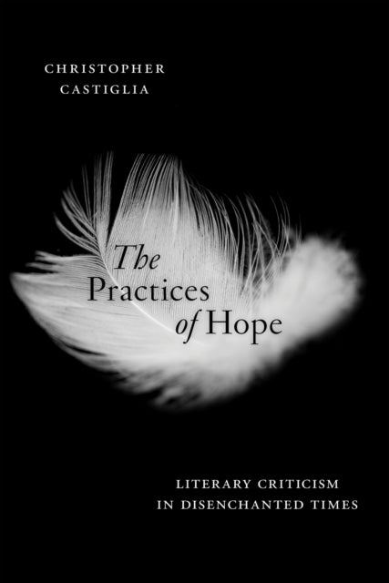 Book cover of: Practices of Hope. By: Christopher Castiglia