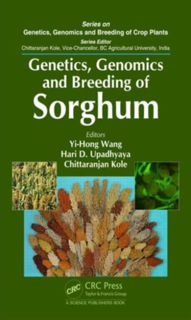 Book cover of: Genetics, Genomics and Breeding of Sorghum. By: Yi-Hong Wang