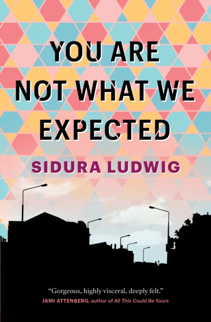 Book cover of: You Are Not What We Expected. By: Sidura Ludwig