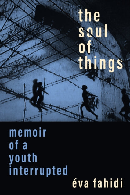 Book cover of: Soul of Things. By: Eva Fahidi