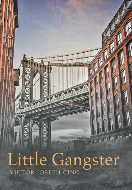Book cover of: Little Gangster