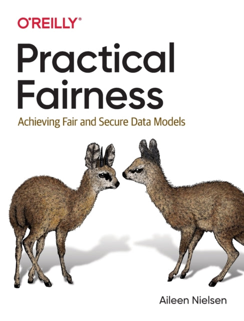 Book cover of: Practical Fairness. By: Aileen Nielsen