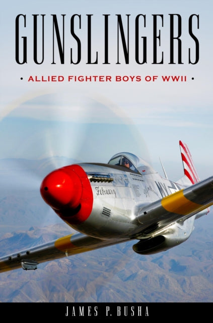 Book cover of: Gunslingers. By: Jim Busha