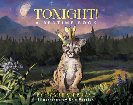 Book cover of: Tonight!. By: Jamie Siebrase