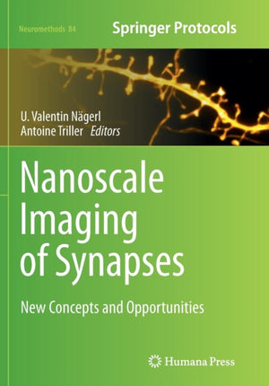 Nanoscale Imaging of Synapses