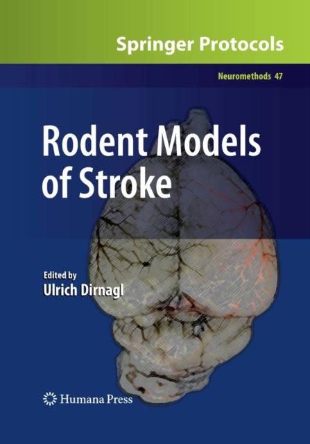 Book cover of: Rodent Models of Stroke. By: Ulrich Dirnagl