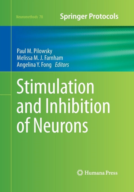 Stimulation and Inhibition of Neurons