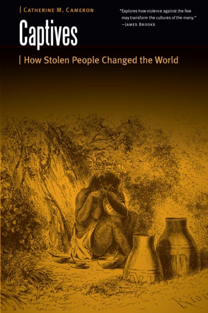 Book cover of: Captives. By: Catherine M. Cameron