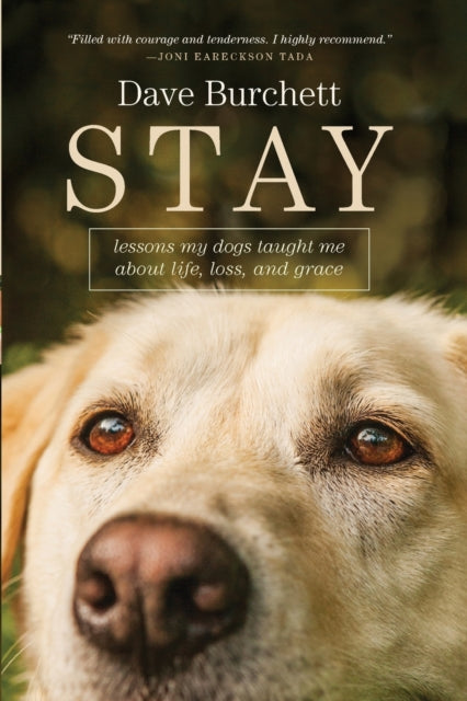Book cover of: Stay