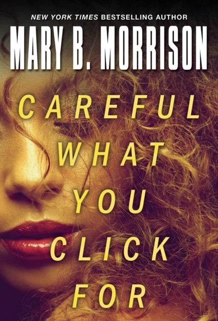 Book cover of: Careful What You Click For. By: Mary B. Morrison