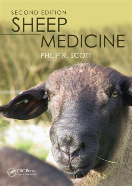 Book cover of: Sheep Medicine