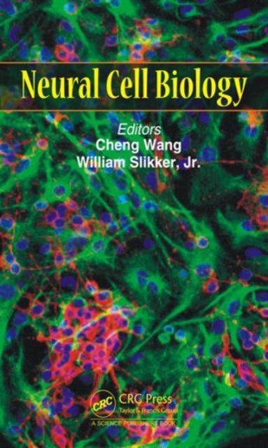 Book cover of: Neural Cell Biology. By: Cheng Wang