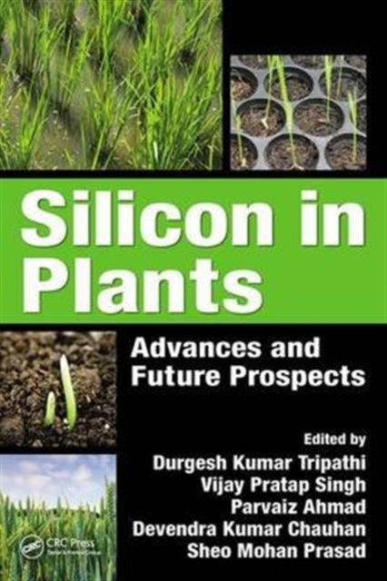 Book cover of: Silicon in Plants. By: Durgesh Kumar Tripathi