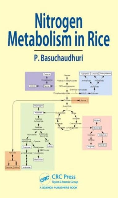 Book cover of: Nitrogen Metabolism in Rice. By: Pranab Basuchaudhuri
