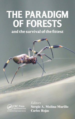 Paradigm of Forests and the Survival of the Fittest