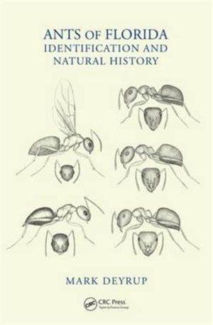 Ants of Florida