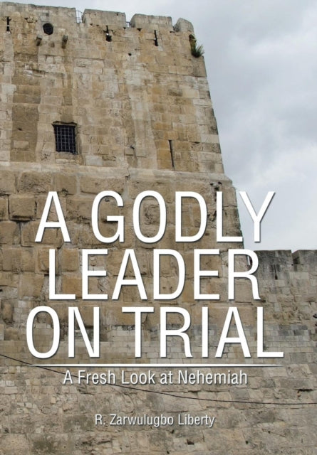 Book cover of: Godly Leader on Trial