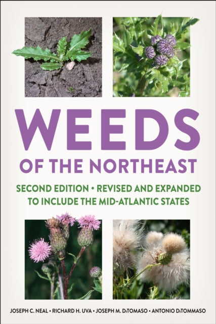 Book cover of: Weeds of the Northeast. By: Neal, Joseph C.