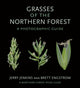 Book cover of: Grasses of the Northern Forest. By: Jerry Jenkins