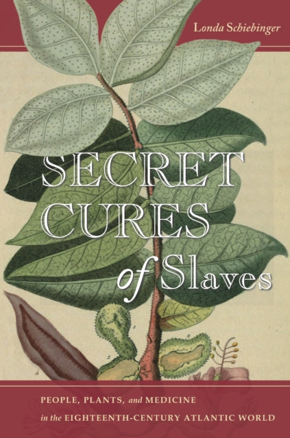 Book cover of: Secret Cures of Slaves. By: Londa Schiebinger
