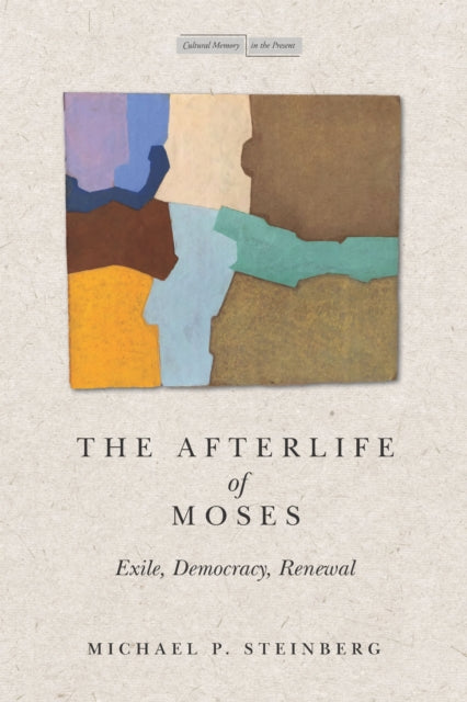 Book cover of: Afterlife of Moses. By: Steinberg, Michael