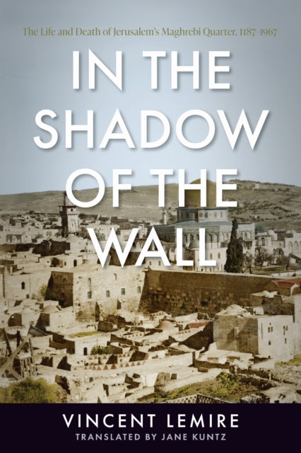 Book cover of: In the Shadow of the Wall. By: Vincent Lemire