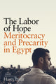Book cover of: Labor of Hope. By: Harry Pettit