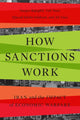 Book cover of: How Sanctions Work. By: Narges Bajoghli