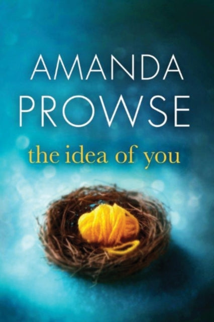 Book cover of: Idea of You. By: Amanda Prowse