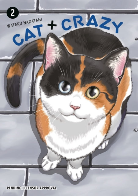 Book cover of: Cat + Crazy Volume 2