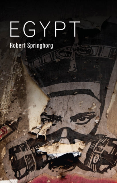 Book cover of: Egypt. By: Robert Springborg