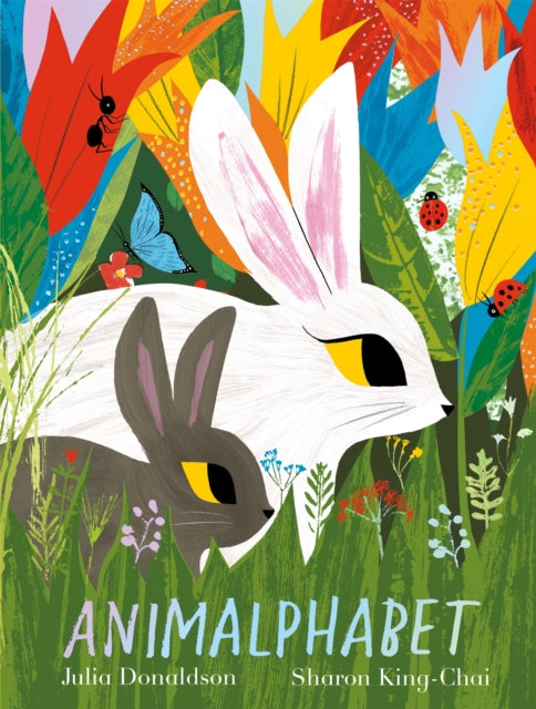 Animalphabet, A lift-the-flap ABC book from the author of The Gruffalo 9781509801640 DONALDSON, JULIA