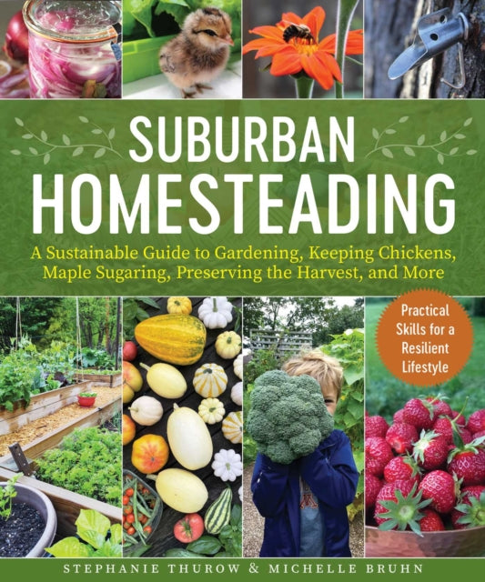 Book cover of: Small-Scale Homesteading. By: Stephanie Thurow