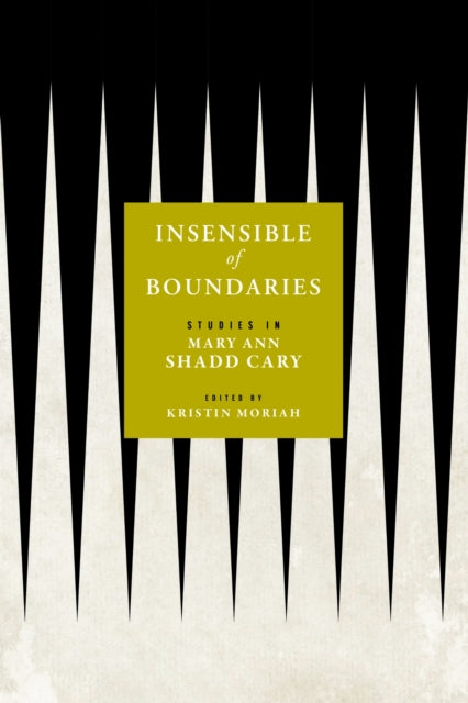Book cover of: Insensible of Boundaries. By: Kristin Moriah