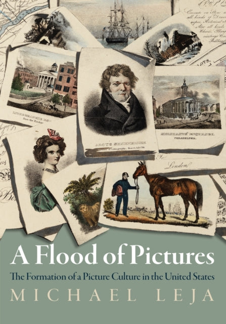 Book cover of: Flood of Pictures. By: Michael Leja
