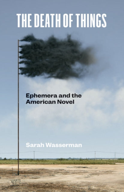 Book cover of: Death of Things. By: Sarah Wasserman
