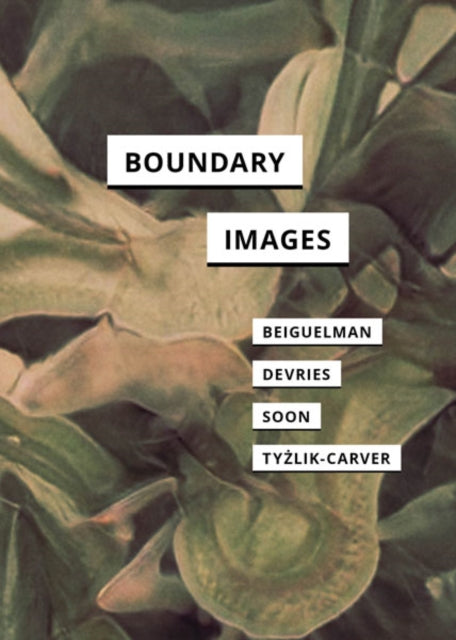 Book cover of: Boundary Images. By: Giselle Beiguelman