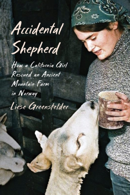 Book cover of: Accidental Shepherd. By: Liese Greensfelder