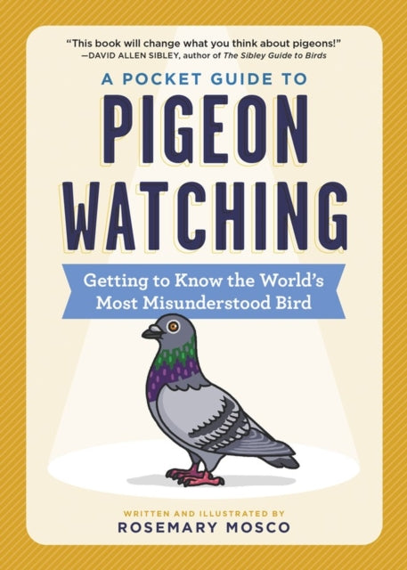 Pocket Guide to Pigeon Watching, Getting to Know the World's Most Misunderstood Bird 9781523511341 Rosemary Mosco