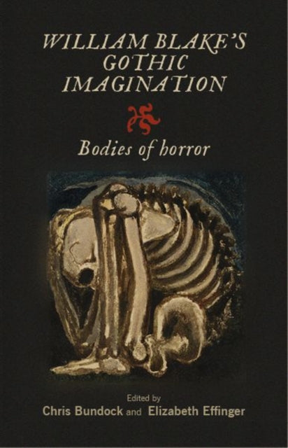 Book cover of: William Blake's Gothic Imagination. By: Elizabeth Effinger