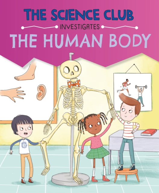 Science Club Investigates: The Human Body 9781526321619 Mary Auld