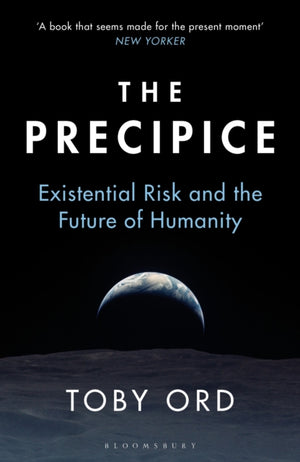 Precipice, ‘A book that seems made for the present moment’ New Yorker