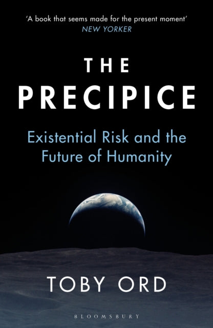 Precipice, ‘A book that seems made for the present moment’ New Yorker