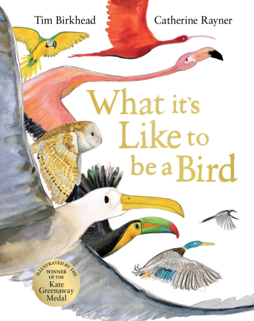 Book cover of: What it's Like to be a Bird. By: Tim Birkhead
