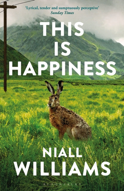 This Is Happiness 9781526609359 Niall Williams